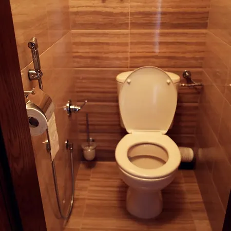 Apartment Botev