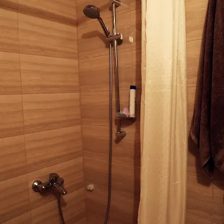 Apartment Botev *